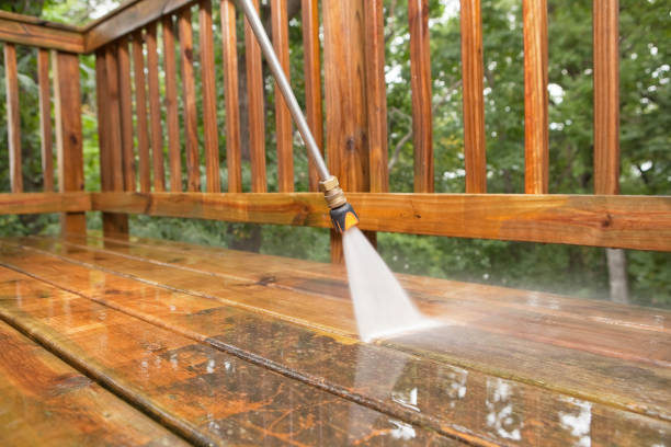 Best Dumpster Area Cleaning  in Crainvle, IL