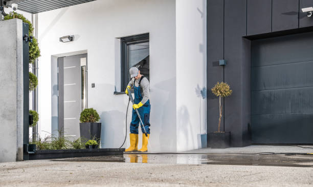 Best Paint Preparation  in Crainvle, IL