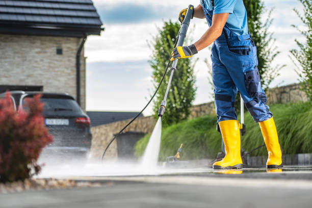 Animal Enclosure Cleaning in Crainville, IL